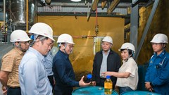 BSR đẩy nhanh tiến độ nghiên cứu nhiên liệu dầu diesel sinh học