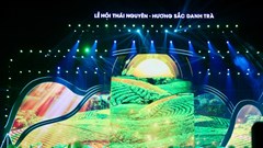 Mở hành trình đưa văn hóa trà ra thế giới