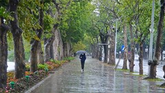 Dự báo thời tiết 1.1: Miền Bắc đón năm mới trong rét, Nam Bộ ngày nắng đêm mưa