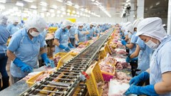 Chủ tịch HĐQT Nam Việt (ANV) đăng ký thoái toàn bộ vốn đang nắm giữ