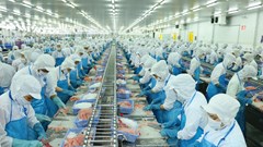 Con Chủ tịch Vĩnh Hoàn chi hàng trăm tỉ đồng mua 5,7 triệu cổ phiếu VHC