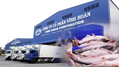 Vĩnh Hoàn (VHC) bị HOSE nhắc nhở vì chậm công bố báo cáo tài chính quý IV.2025
