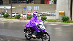 Dự báo thời tiết 6.3: TP.HCM và Nam Bộ cục bộ có nơi mưa to