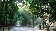 Dự báo thời tiết 17.3: Thời tiết cả nước ấm lên 