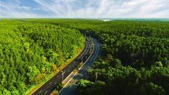 Vinhomes Green Paradise: Từ đường chạy 5.000 người đến tâm điểm sự kiện - du lịch mới của TP.HCM