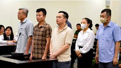 Cựu Chủ tịch Công ty Nam Triệu lĩnh 29 năm tù vì gây thiệt hại gần 24 tỉ đồng