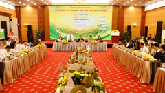 Lễ hội Sầu riêng Đắk Lắk năm 2026: Kết nối vươn xa, nâng tầm thương hiệu nông sản chủ lực