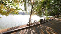 Thời tiết hôm nay 19.9: Bắc Bộ hửng nắng, Trung Bộ vẫn mưa lớn