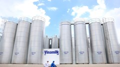 50 năm Vinamilk: Khi “đạt chuẩn” chưa phải là điểm dừng