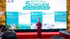 CEO Hoàng Minh Hạnh và hành trình mở lối cho Sâm Việt