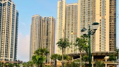 Mua nhà hay mua căn hộ tại Quận 7 (cũ): 5 tiêu chí so sánh và cách tìm tin đăng trên Batdongsan.com.vn