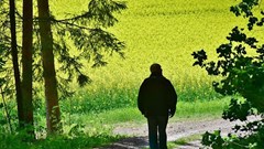 Sống đến 89 tuổi không bệnh mạn tính, minh mẫn: Bí quyết trường thọ từ ông của một bác sĩ