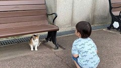 Những biểu hiện “khí chất” riêng của con khi còn nhỏ có thể hé lộ tính cách tương lai