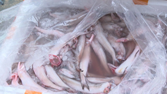 Hóa chất formol dùng trong thực phẩm nguy hại thế nào?