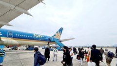 Nghịch lý vé Tết: Lượng chuyến bay tăng, giá vẫn cao