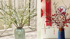 5 mẹo chăm sóc giúp hoa tươi lâu ngày Tết
