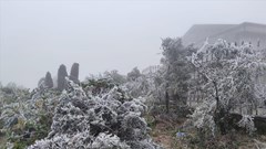 Cẩm nang săn băng tại đỉnh Mẫu Sơn - Chuyến đi an toàn và thú vị