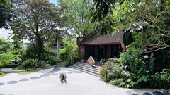 5 ngôi chùa gần Hà Nội “hot check-in” đầu xuân 2025 