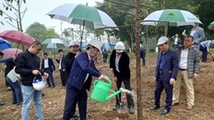 Hà Nội phát động tết trồng cây tại các khu công nghiệp
