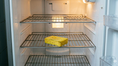 Vì sao nên đặt miếng bọt biển trong tủ lạnh?