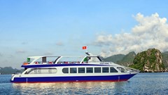 Quảng Ninh: Tạm dừng cấp phép tàu hoạt động trên vùng biển từ 17h ngày 3.7