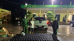 Quảng Ninh: Phát hiện đối tượng vận chuyển 200 bình khí nén nghi là khí N2O