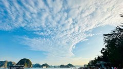 Quảng Ninh phát triển kinh tế di sản để chuyển từ “nâu” sang “xanh“