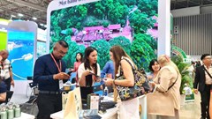 Quảng Ninh: Quảng bá du lịch, kết nối các đối tác trong và ngoài nước