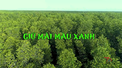 Giữ mãi màu xanh