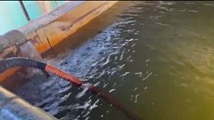 Hải Phòng: Người dân xã Tân Minh mong mỏi được dùng nước sạch