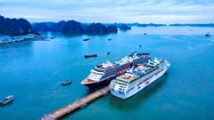 Quảng Ninh bắt đầu vào mùa du lịch tàu biển