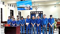 Nguyên TGĐ Công ty CP Đồ hộp Hạ Long bị tuyên phạt 19 năm tù