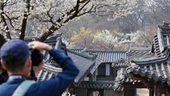 Khám phá Changdeokgung: Khi lịch sử hòa cùng thiên nhiên