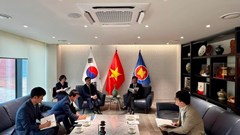 Từ dấu mốc 800 năm đến “Thung lũng Việt Nam” tại Bonghwa  