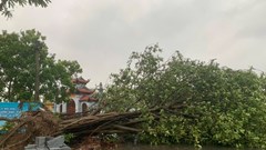 Bão số 3 gây sạt lở núi, đê và ngập 78.355 ha lúa ở Ninh Bình