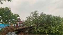 Ninh Bình thiệt hại trên 386 tỷ đồng do bão Wipha