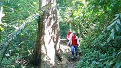 Sở Du lịch Ninh Bình khuyến cáo sau vụ việc ở rừng Cúc Phương