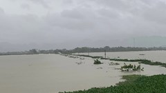 Ninh Bình: Tập trung khắc phục hậu quả bão số 5