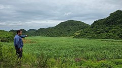 Ninh Bình: Một doanh nghiệp bị thu hồi 64,8ha đất do vi phạm về đất đai