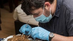 Bộ xương 12.000 năm tuổi đặt tại chùa Bái Đính