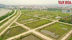 Ninh Bình: Triển khai 90 ngày làm giàu, làm sạch cơ sở dữ liệu quốc gia về đất đai