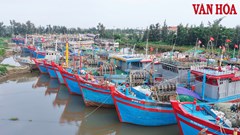 Triển khai phương án di dân xong trước 18h ngày 24.9