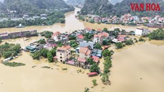 Ninh Bình: Nước lũ dâng cao, cảnh báo ngập lụt trên 27 xã, phường