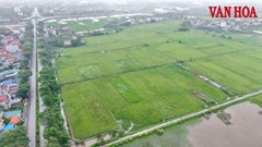 Ninh Bình: Cưỡng chế kiểm đếm 61 hộ dân để xây dựng Khu đô thị Ninh Thắng I