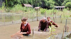 Đánh thức du lịch nông thôn ở Ninh Bình