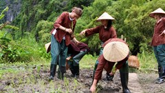 Khách quốc tế ấn tượng với tour du lịch hoá “thôn nữ, trai quê” ở Ninh Bình