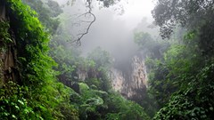 Khám phá tour xuyên rừng chinh phục “nóc nhà” Cúc Phương