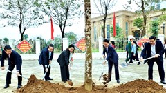 Ninh Bình: Phát động “Tết trồng cây đời đời nhớ ơn Bác Hồ”
