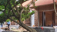 Ninh Bình: Phát hiện 11 trường hợp vi phạm trong Di sản Tràng An