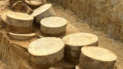 Ninh Bình: Phát hiện cổ vật thời Trần khi thuốn đào móng nhà